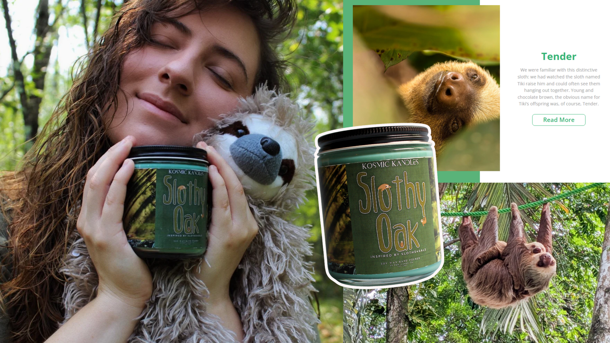 🦥 Slothy Oak inspired by Sloths4Sale