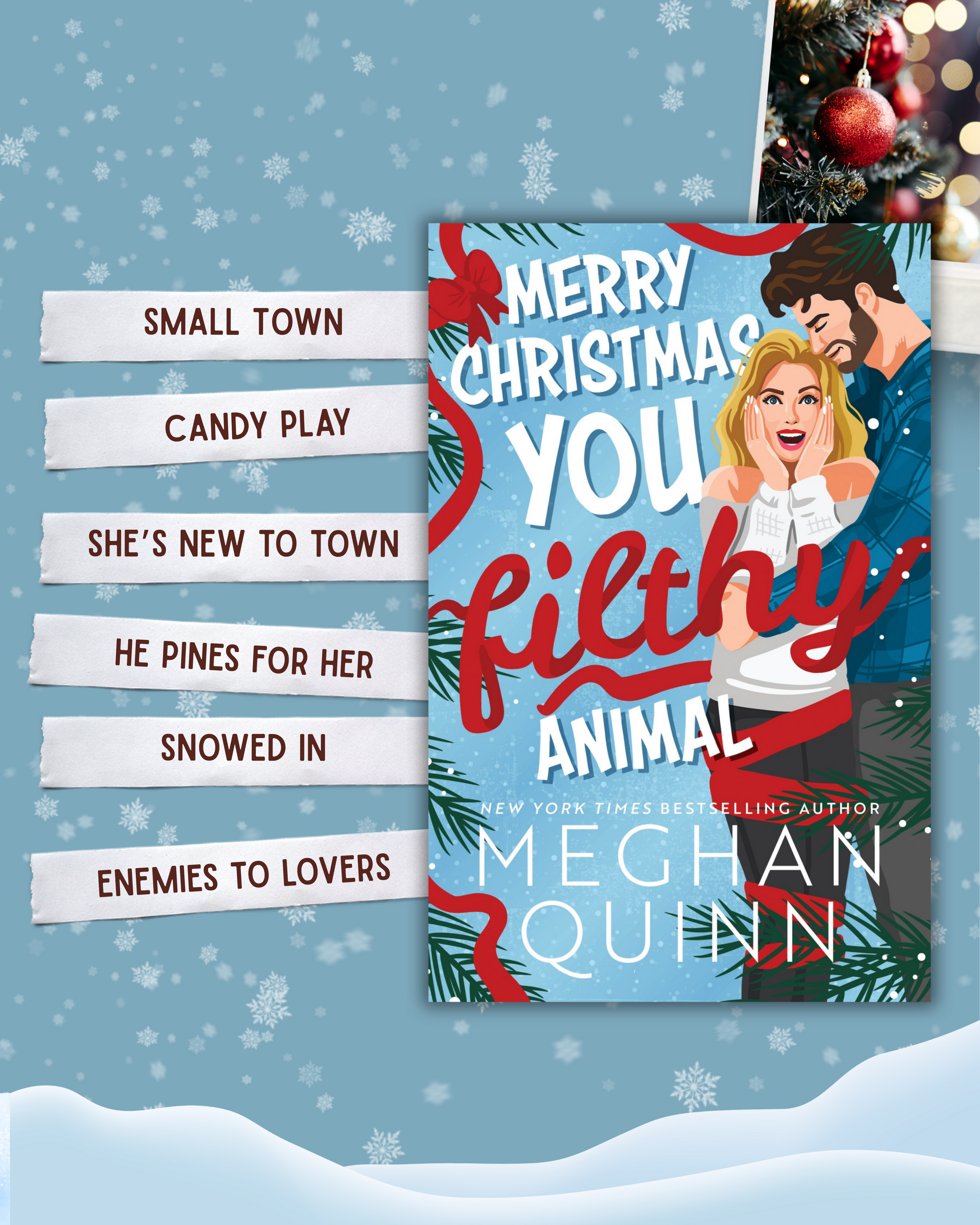 Book Review - Merry Christmas, You Filthy Animal by Meghan Quinn
