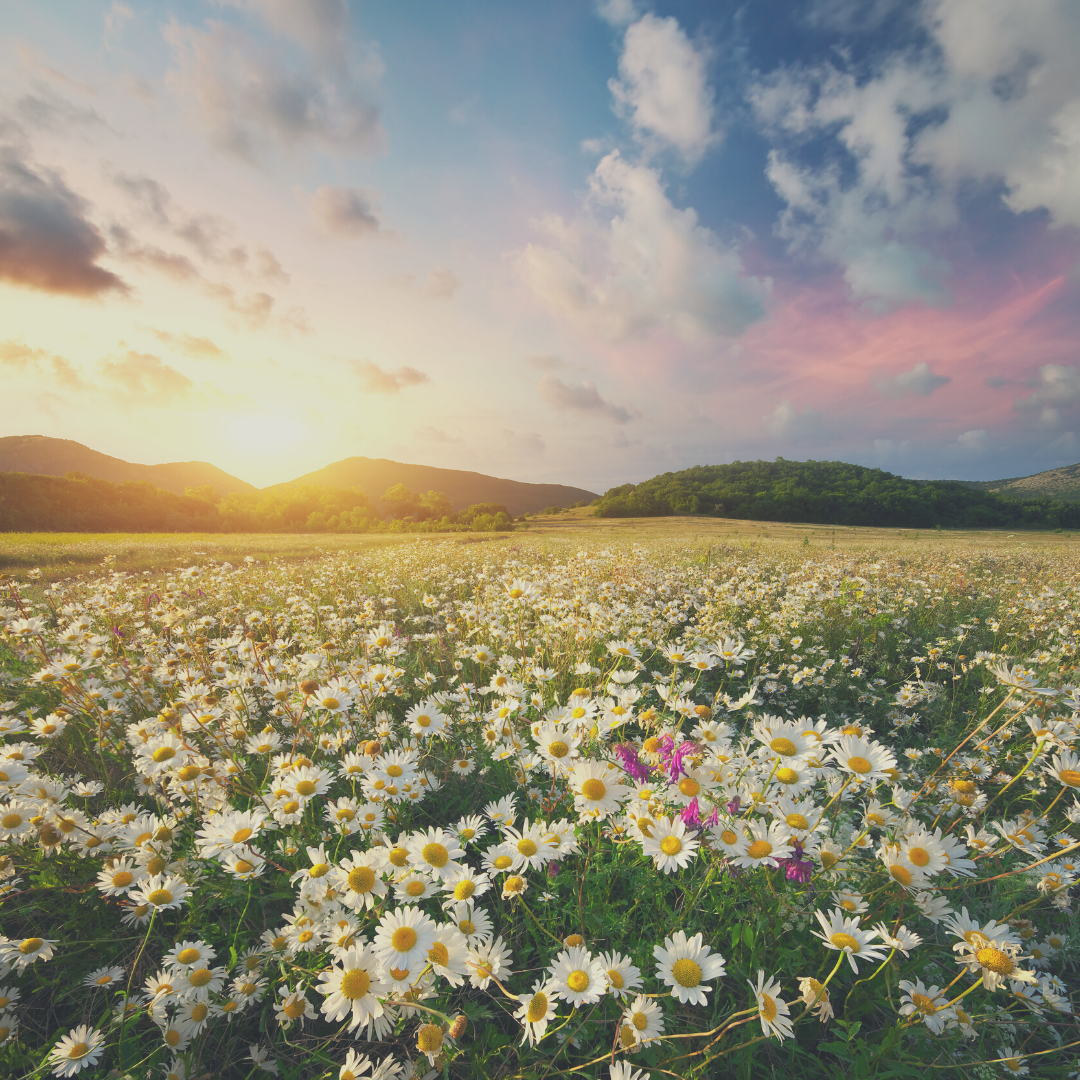 Spring