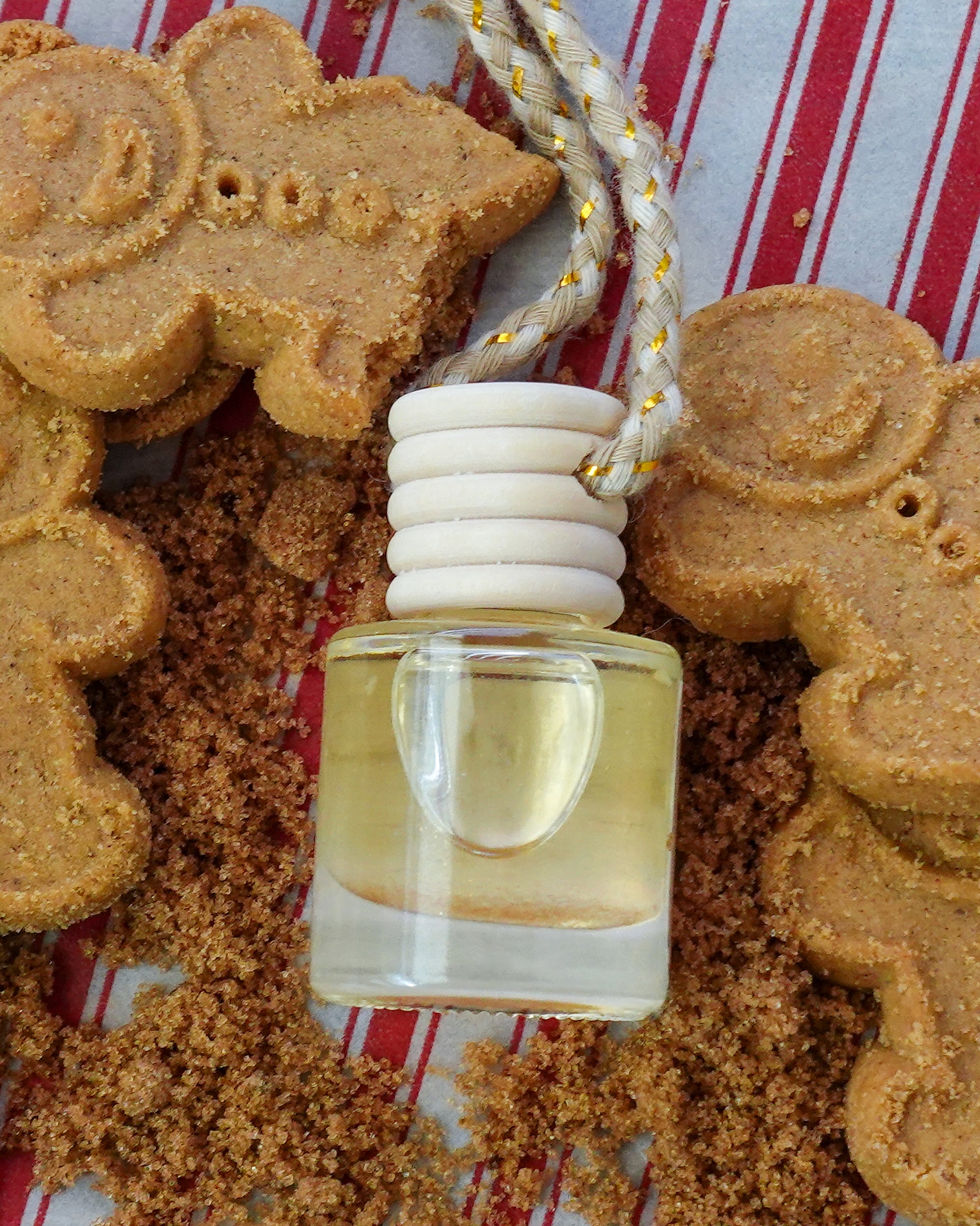 🫚 Iced Gingersnap