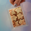 📚 Book Club Soy Wax Melts